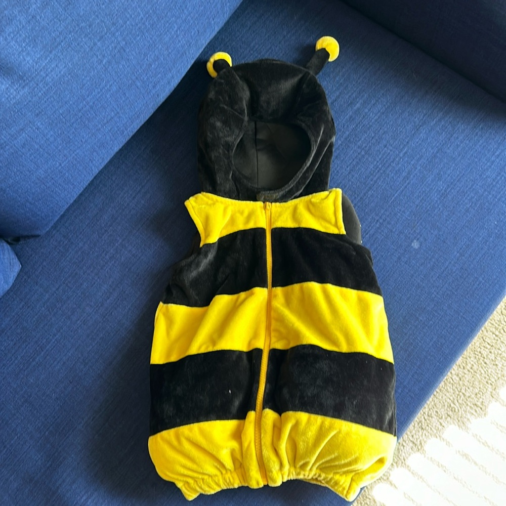 Bee costume